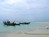 หาดในยาง_อุทยานแห่งชาติสิรินาถ_ภูเก็ต_40